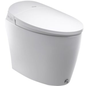 Tankless Intelligent Toilet